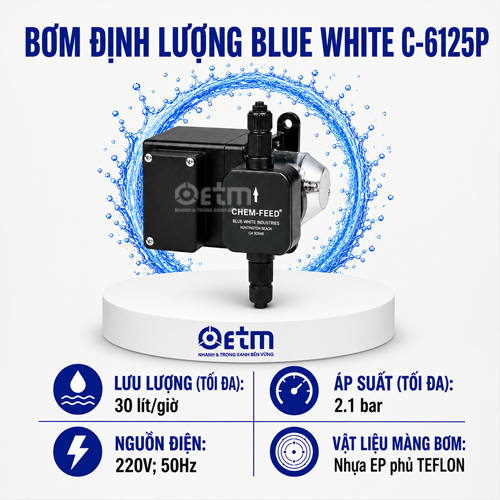 BƠM ĐỊNH LƯỢNG BLUE WHITE C-6125P